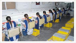 Visual Inspection